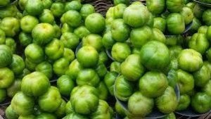 Garden Eggs